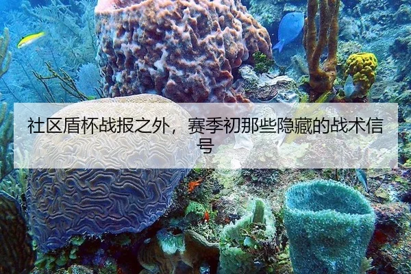 she-qu-dun-bei-zhan-bao-zhi-wai-sai-ji-chu-na-xie-yin-cang-de-zhan-shu-xin-hao-2-264.jpg